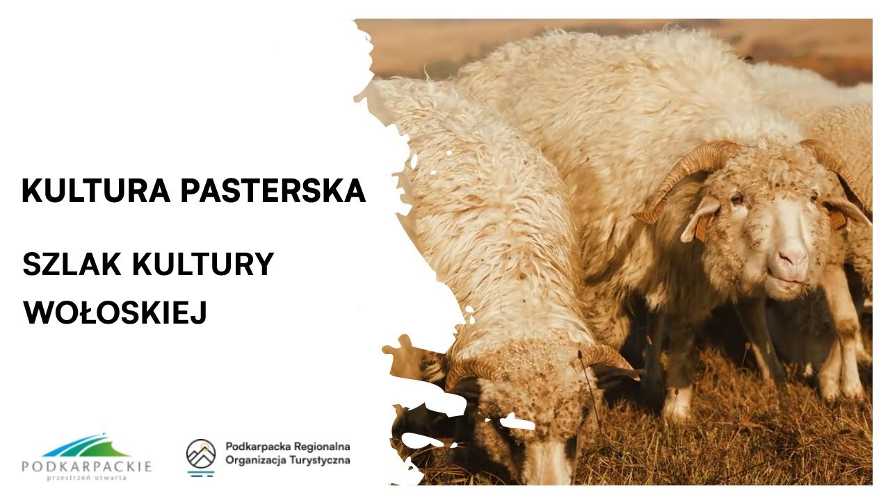 Kadr z filmu Kultura pasterska